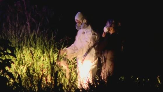 Chacina no DF: polícia encontra mais 3 corpos