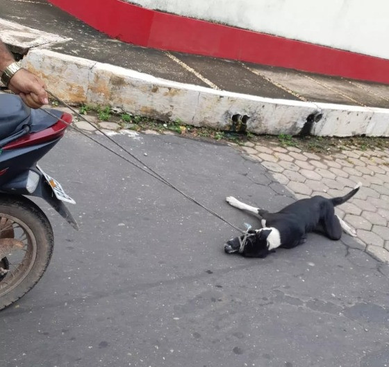 Cão foi amarrado e arrastado por moto