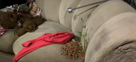 Residência em que crianças estavam tinha até feijão brotando de sofá