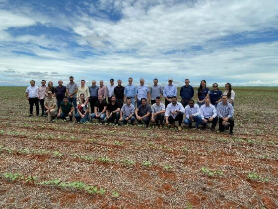 Campo Verde é a cidade mato-grossense polo da fiação no estado