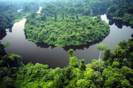 Parque do Cristalino