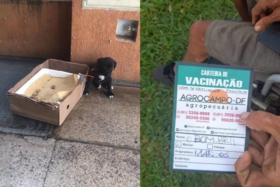 O mendigo afirmou ter trocado o cachorro por um programa com uma p*ta
