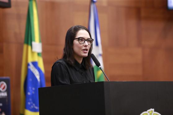 Deputada defendeu a decisão do governador Mauro Mendes de buscar uma solução para a BR-163.