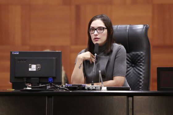 Para deputada, esse era o momento ideal para aprovação da medida.
