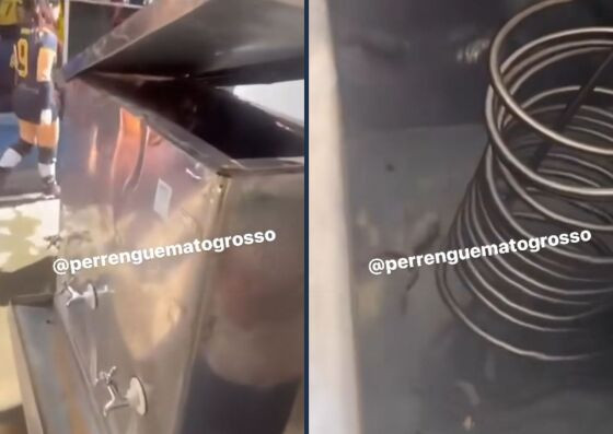 As imagens mostram o animal aparentemente morto.