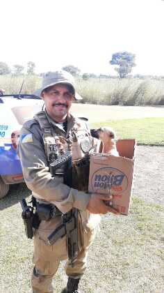 Após encerrar o plantão na operação,  sargento resolveu adotar a filhote.