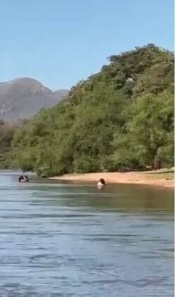 Os dois casais permanecem em clima de romance, a poucos metros do barco.