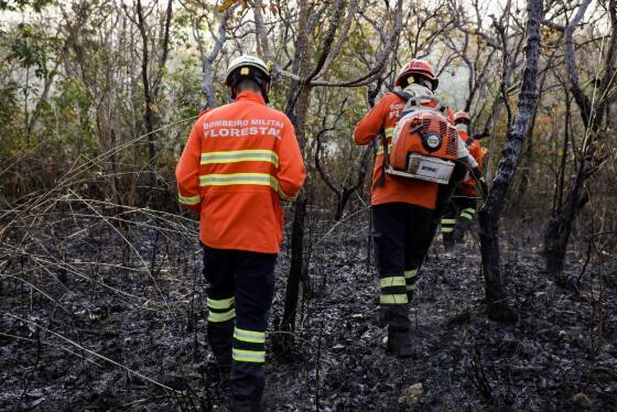 As ações de combate aos crimes ambientais em 2023 recebem o investimento de R$ 77,4 milhões, dos quais cerca de R$ 38 milhões são destinados exclusivamente para o combate ao fogo