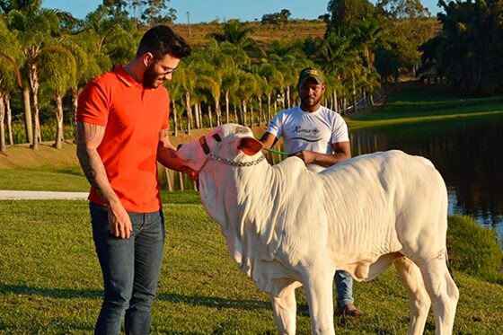 A ideia de comprar o local surgiu ainda em 2020 durante a live  "O Embaixador no Agronegócio"