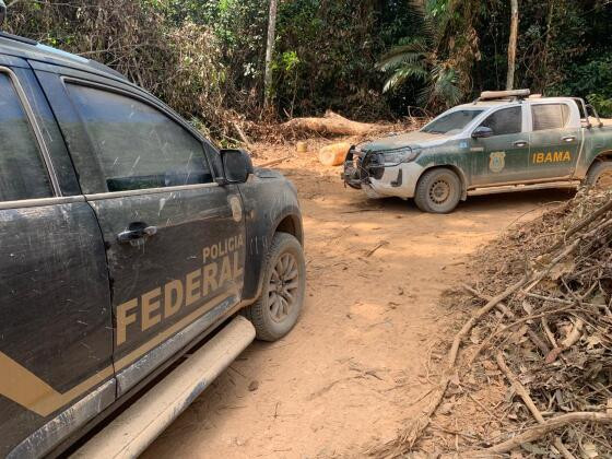 Operação foi deflagrada pela Polícia Federal, Ibama e ICMBio
