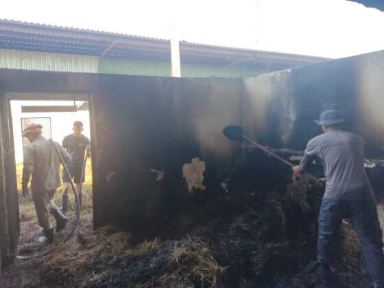 Fogo começou em lote de alfafas, usado para alimentação dos cavalos