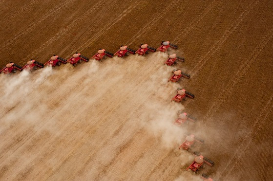 A projeção da safra de grãos de Mato Grosso 2029/2030 deve alcançar 146,6 milhões de toneladas.