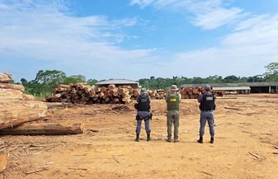 As ilegalidades foram descobertas na etapa mais recente de fiscalizações da Operação Amazônia