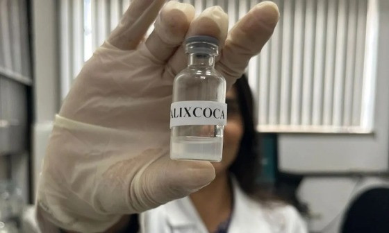 Calixcoca, vacina da UFMG contra a dependência de cocaína e crack