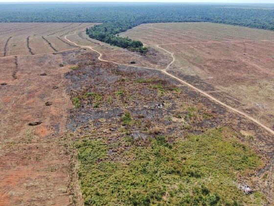 O fazendeiro tentava anular uma sentença que o condenou a recuperar uma área desmatada de 78,94 hectares 