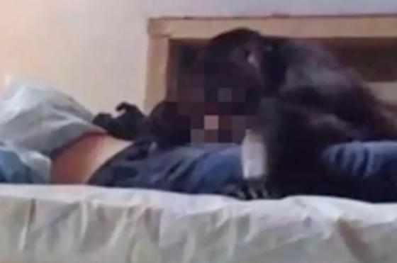 O jovem, não identificado, estava desmaiado na sua cama quando um macaco entrou no quarto sorrateiramente