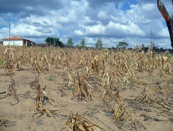 Seca severa e incêndios florestais atingem diversas regiões de Mato Grosso.