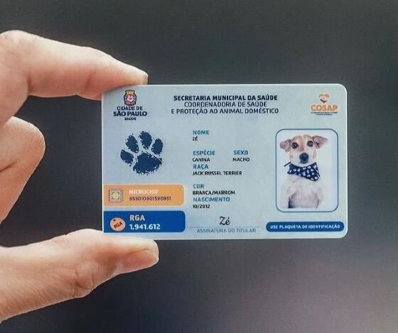 Registro Geral de Animal emitido pelo estado de São Paulo
