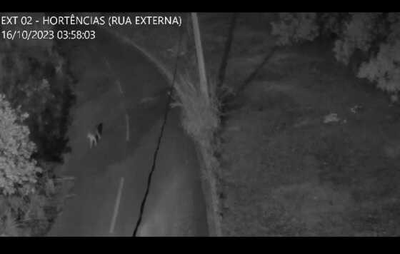 O flagrante foi feito na madrugada do dia 16, mas foi divulgado essa semana.