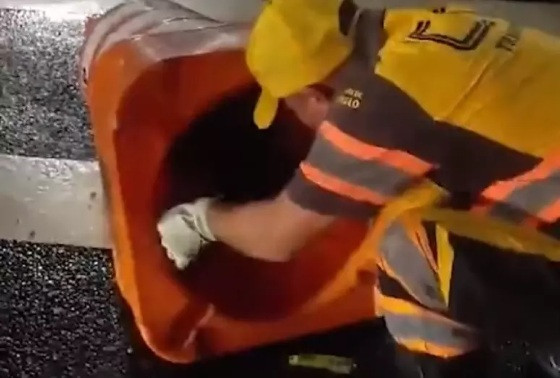 O homem precisou ser resgatado pelos agentes da CET