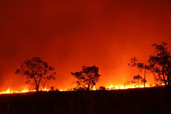 Amazônia teve a pior 24 horas da história