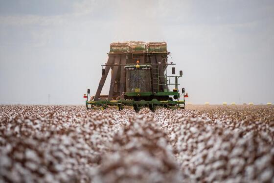 O setor que apresentou o maior crescimento no segundo trimestre deste ano foi a agropecuária com 18,9%