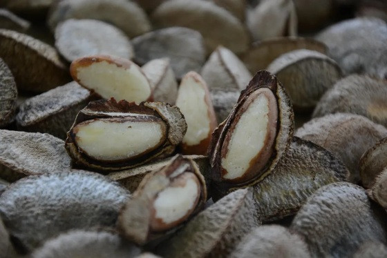 Castanha-do-brasil é rica em selênio. 