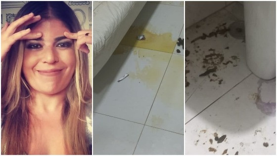 Uma cachorra da raça Labrador e três gatas foram encontradas por policiais em meio a fezes e sem alimento