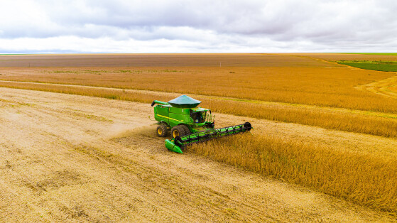 A pesquisa contou com a participação de 1.003 propriedades, que cultivam mais de 1,7 milhão de hectares.