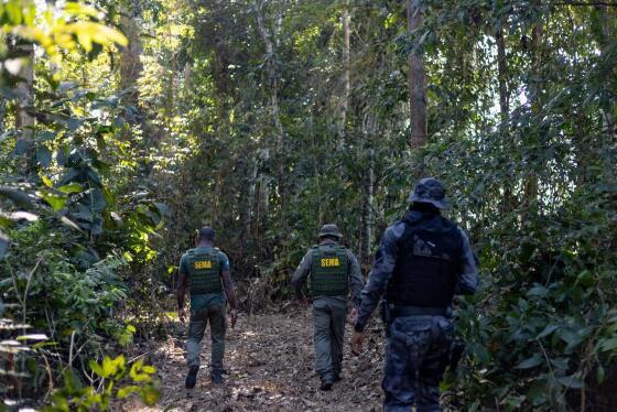 A operação Amazônia integra órgãos estaduais e federais, sob a coordenação da Secretaria de Estado de Meio Ambiente (Sema-MT)