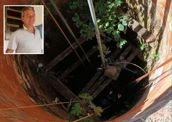 A vítima tentava resgatar um gato da neta. 