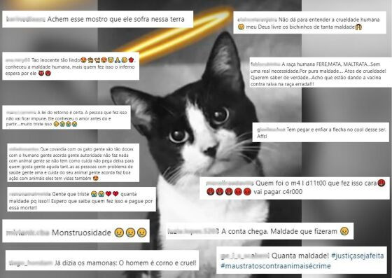 Diversos internautas lotaram as postagens lamentando o ocorrido e pedindo por justiça.
