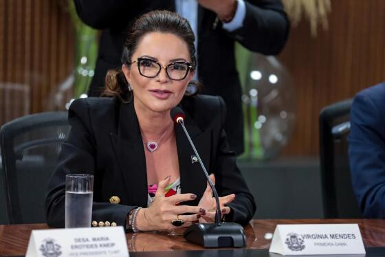 Virginia afirmou que episódios como esse evidenciam falhas na proteção às mulheres