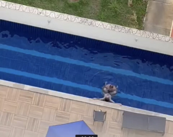 Casal em piscina de prédio no Parque Amazonas, em Goiânia.