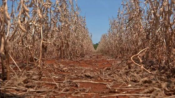 Os decretos, conforme o órgão, têm durações diferentes, variam entre 90 até 180 dias.