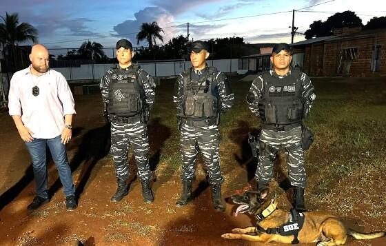 Aos 7 anos, Fúria, da raça pastor-belga-malinois, tem um “currículo” extenso de sucesso em missões.