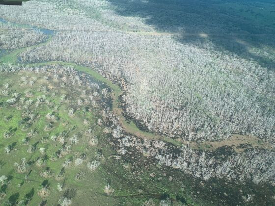 A área afetada somam 80 mil hectares, o tamanho da cidade de Campinas, em São Paulo