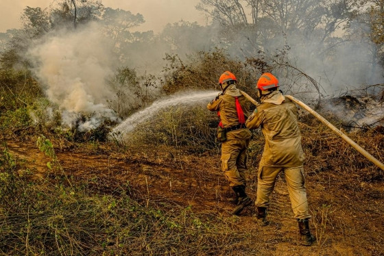 A portaria, que já está em vigor, fixa o período de emergência entre abril e novembro deste ano para quatro mesorregiões de Mato Grosso