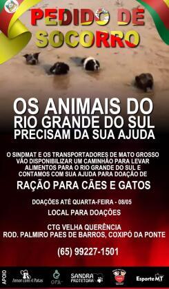 SOS animais RS