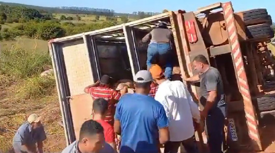 O motorista contou que de todo o caminhão que estava cheio, sobraram apenas 19 animais.