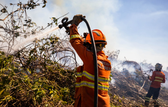 Denúncias de qualquer indício de incêndio podem ser feitas pelos números 193 ou 190