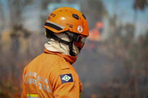 Uma equipe do Corpo de Bombeiros chegaram a iniciar o trabalho de rescaldo na manhã desta quinta-feira (04), mas novos pontos de incêndio foram detectados durante a tarde e o trabalho foi intensificado com o envio de mais uma equipe.