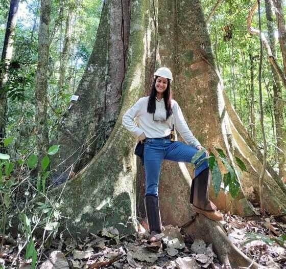 A engenharia florestal tem contribuído para o equilíbrio ecológico, manutenção da biodiversidade e mitigação das mudanças climáticas.