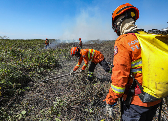 Os militares estão divididos às margens do Rio Paraguai, fazendo o combate direto nas áreas onde há acesso e também o rescaldo em alguns pontos, para evitar a reignição do fogo.
