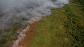 Pantanal supera queimadas de 2023