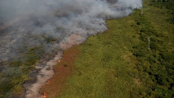 Pantanal em chamas.