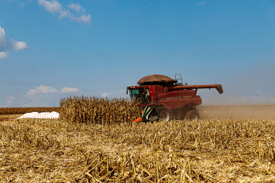 36 cidades de Mato Grosso foram responsáveis por 14,3% da produção agrícola no Brasil.