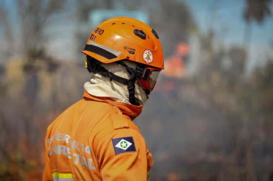 Todos os incêndios florestais do estado são monitorados via satélite