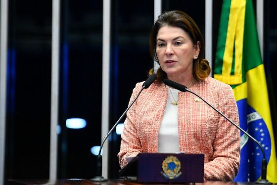 Rosana Martinelli apresentou 38 emendas para aprimorar Reforma Tributária 