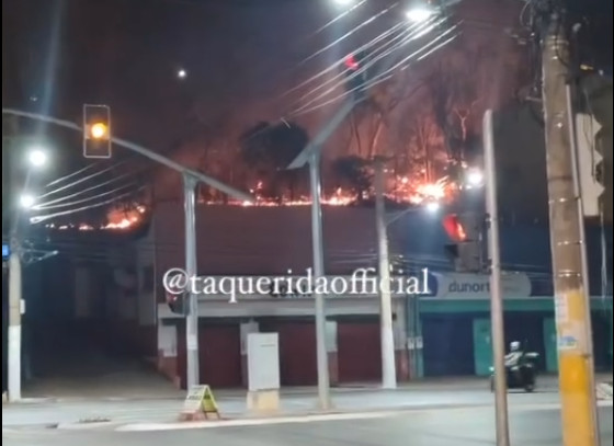 O fogo se aproximou das lojas que ficam na avenida 